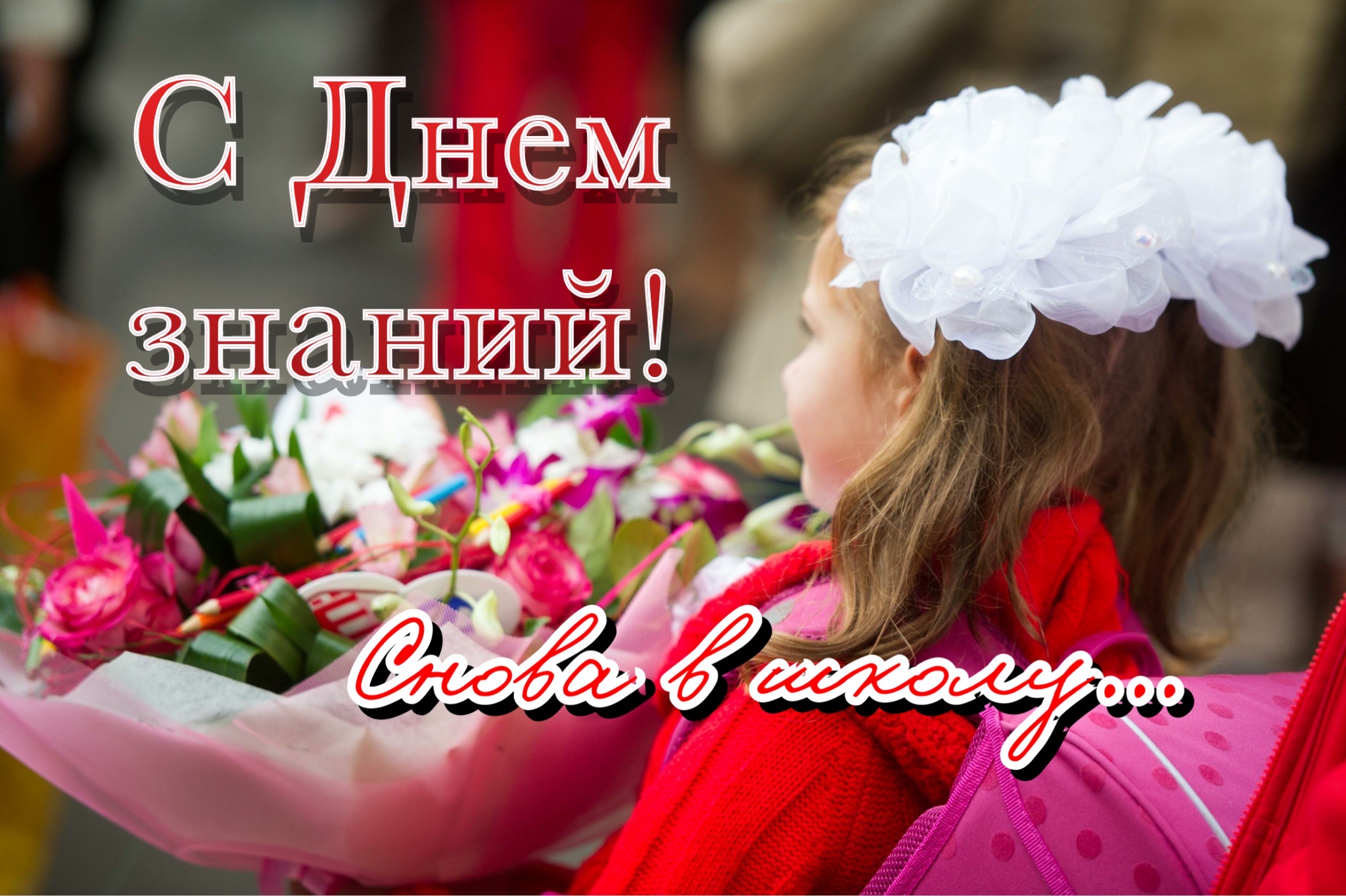 ПРИМИТЕ НАШИ  ПОЗДРАВЛЕНИЯ!.